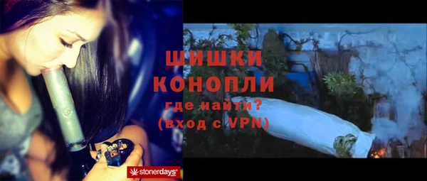 стаф Дмитриев