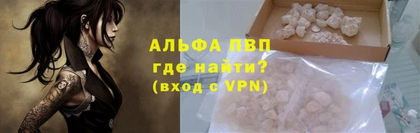 стаф Дмитриев