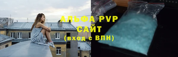 стаф Дмитриев