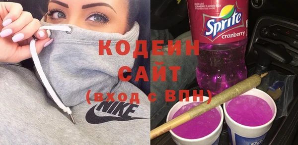 стаф Дмитриев