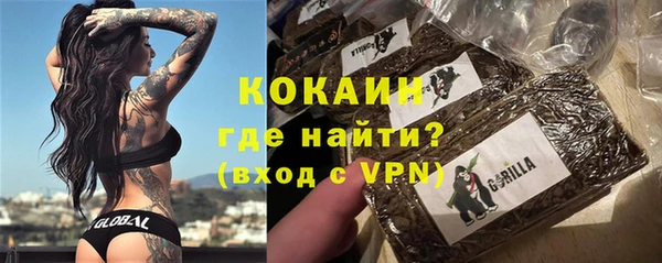стаф Дмитриев
