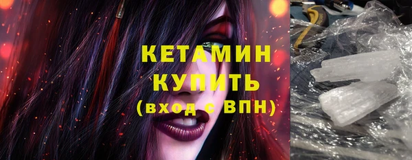 стаф Дмитриев