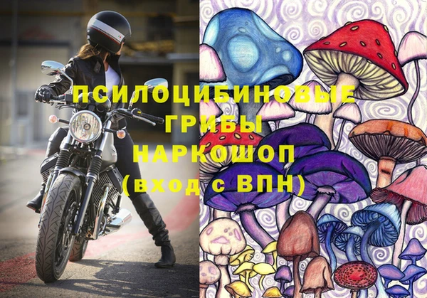 стаф Дмитриев