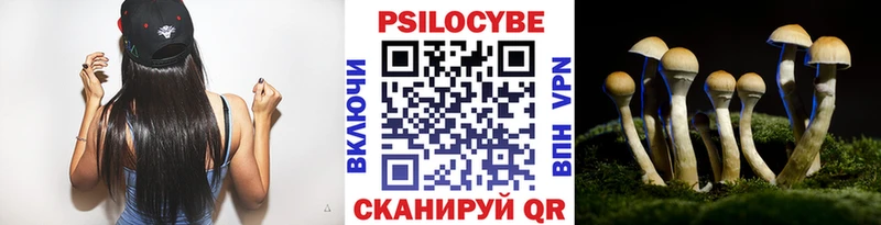 Купить закладки  Свирск  Псилоцибиновые грибы ЛСД 